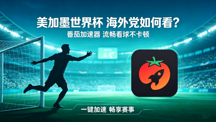 交管12123在国外登录不了教程