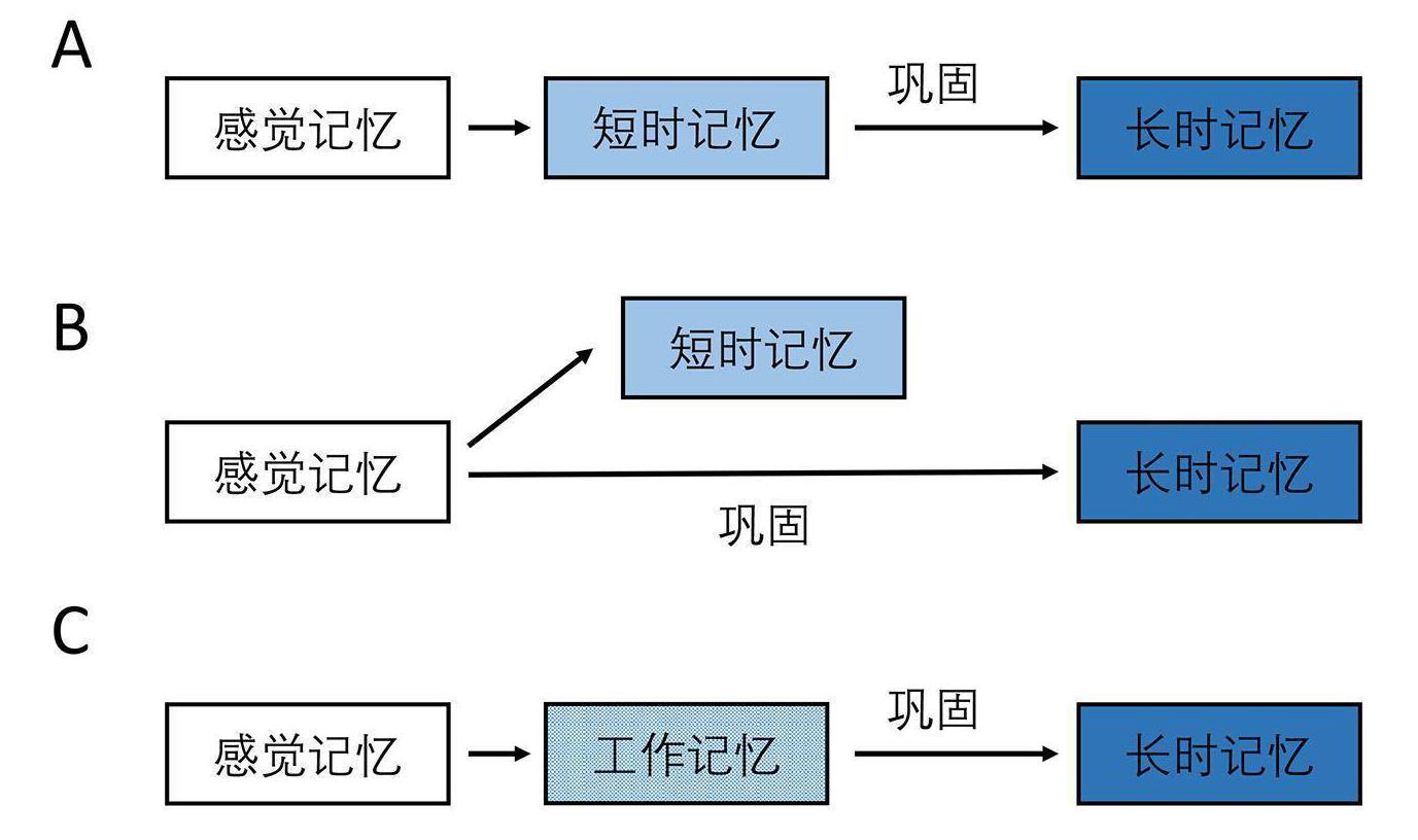 在国外怎么看腾讯视频直播教程